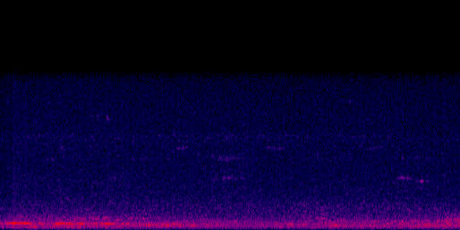 Espectrograma del canto de Búho Grande