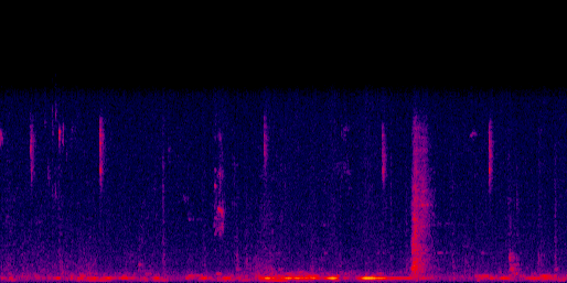 Espectrograma del canto de Gavilán Colirrojo