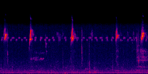Espectrograma del canto de Soterré Chinchirigüí