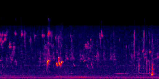 Espectrograma del canto de Zorzal de Swainson