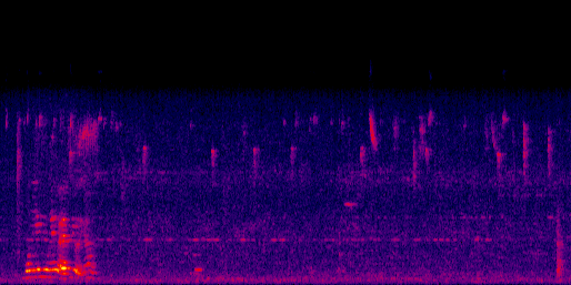 Espectrograma del canto de Tortolita Azulada