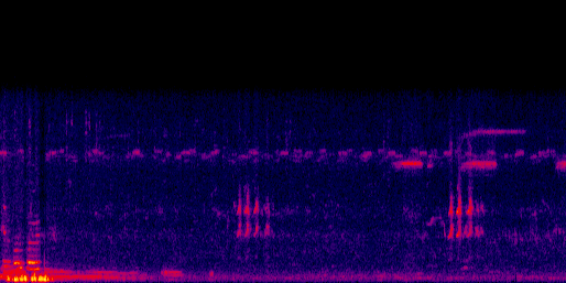 Espectrograma del canto de Paloma de Castilla