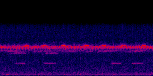 Espectrograma del canto de Tinamú Chico