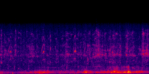 Espectrograma del canto de Pijije Canelo