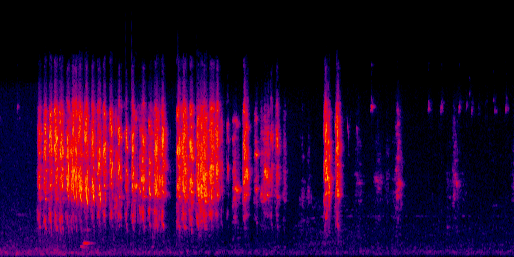 Espectrograma del canto de Perico Frentinaranja