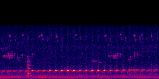 Espectrograma del canto de Guaco
