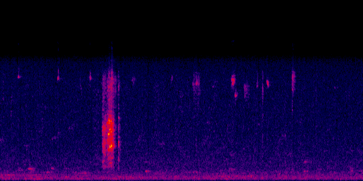 Espectrograma del canto de Carpintero Careto
