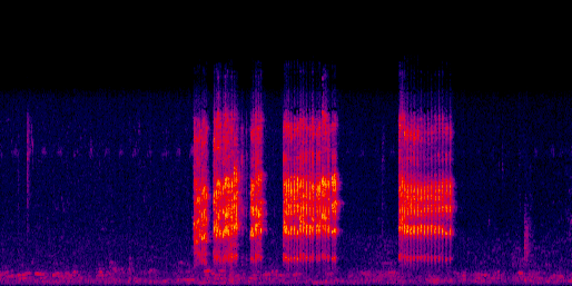 Espectrograma del canto de Carpintero de Hoffmann