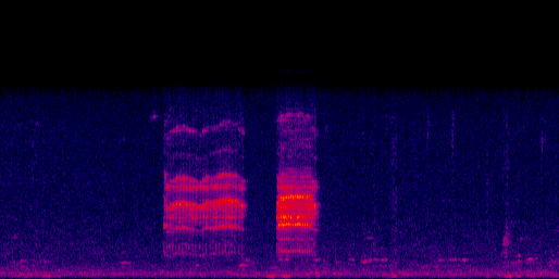 Espectrograma del canto de Carpintero Nuquirrojo