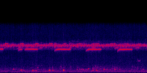 Espectrograma del canto de Pájaro bobo
