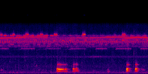 Espectrograma del canto de Nictibio Grande