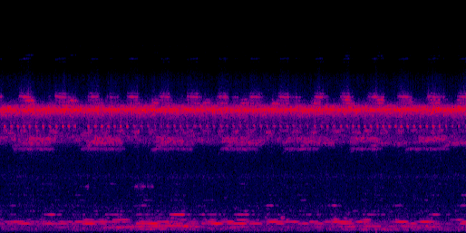 Espectrograma del canto de Nictibio Común
