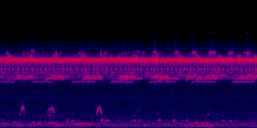 Espectrograma del canto de Cuyeo