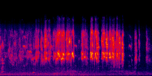 Espectrograma del canto de Chucuyo