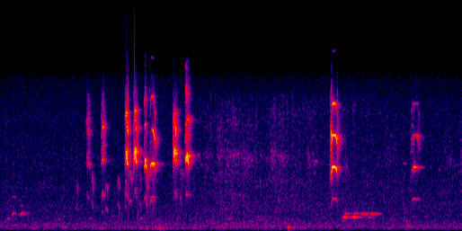Espectrograma del canto de Cristofué
