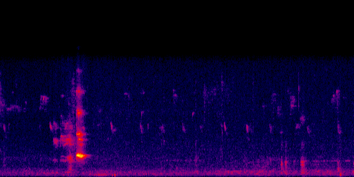 Espectrograma del canto de Pájaro campana
