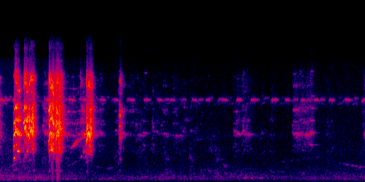 Espectrograma del canto de Perico Frentirrojo