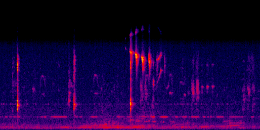 Espectrograma del canto de Zanate