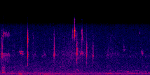 Espectrograma del canto de Sargento
