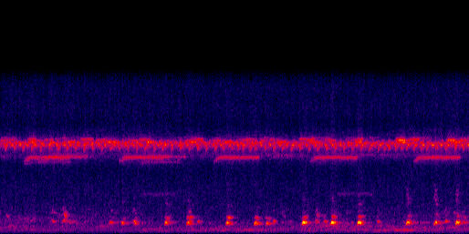Espectrograma del canto de Lechuza Café